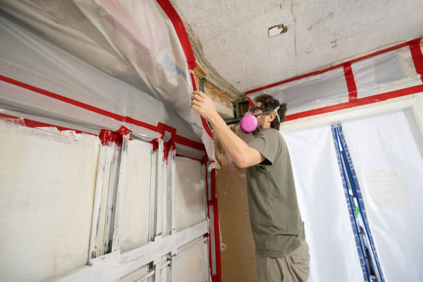 Riverside, OH Mold Removal Company